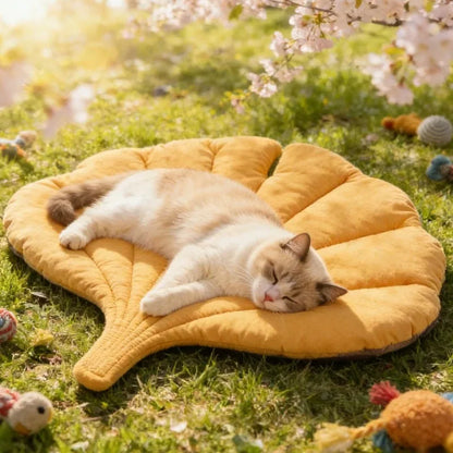 Accessories for Cats Houses and Habitats Bed Dog Goods Things Pet Products Accessory Supplies House Mat Basket Kitten Puppy Beds
