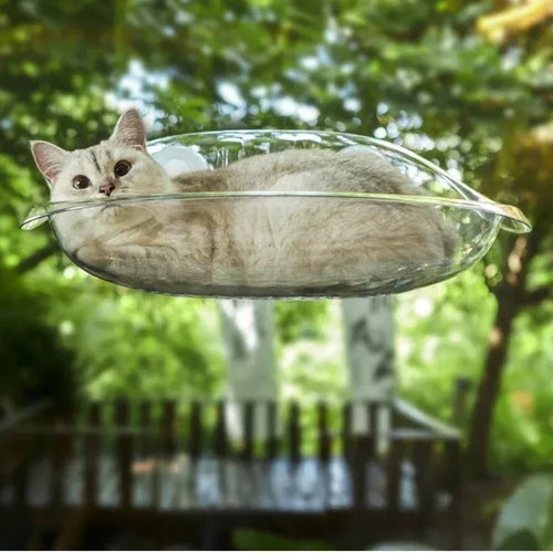 Window Bed for Cats Kitten Accessories Hammock Hanging Balcon Summer Beds Furniture Houses Hammack Pet Hammocks Pets House Cat