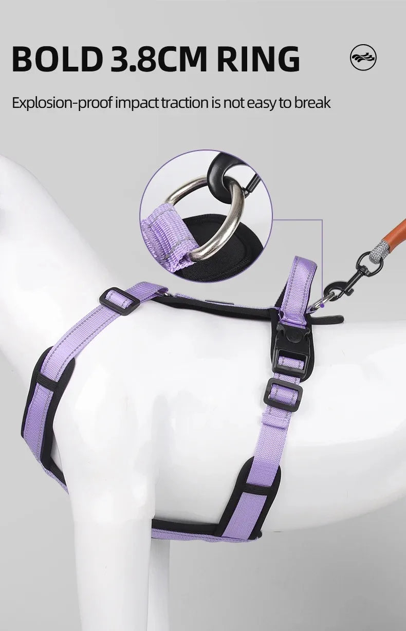 Harnesses and Wears Necklaces Harness With Dog Leash Classic Medium Small Dogs Pet Accessories Chest Puppy Collar Big Accessory