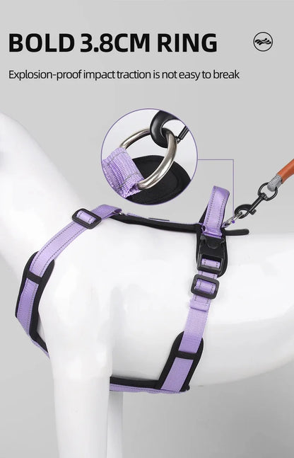 Harnesses and Wears Necklaces Harness With Dog Leash Classic Medium Small Dogs Pet Accessories Chest Puppy Collar Big Accessory