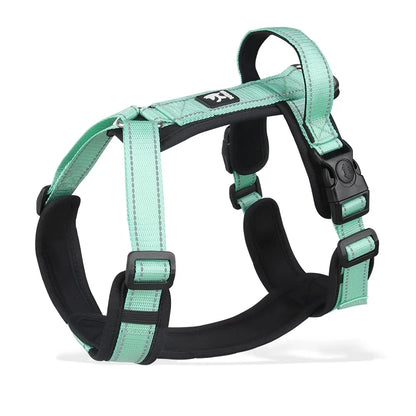 Harnesses and Wears Necklaces Harness With Dog Leash Classic Medium Small Dogs Pet Accessories Chest Puppy Collar Big Accessory