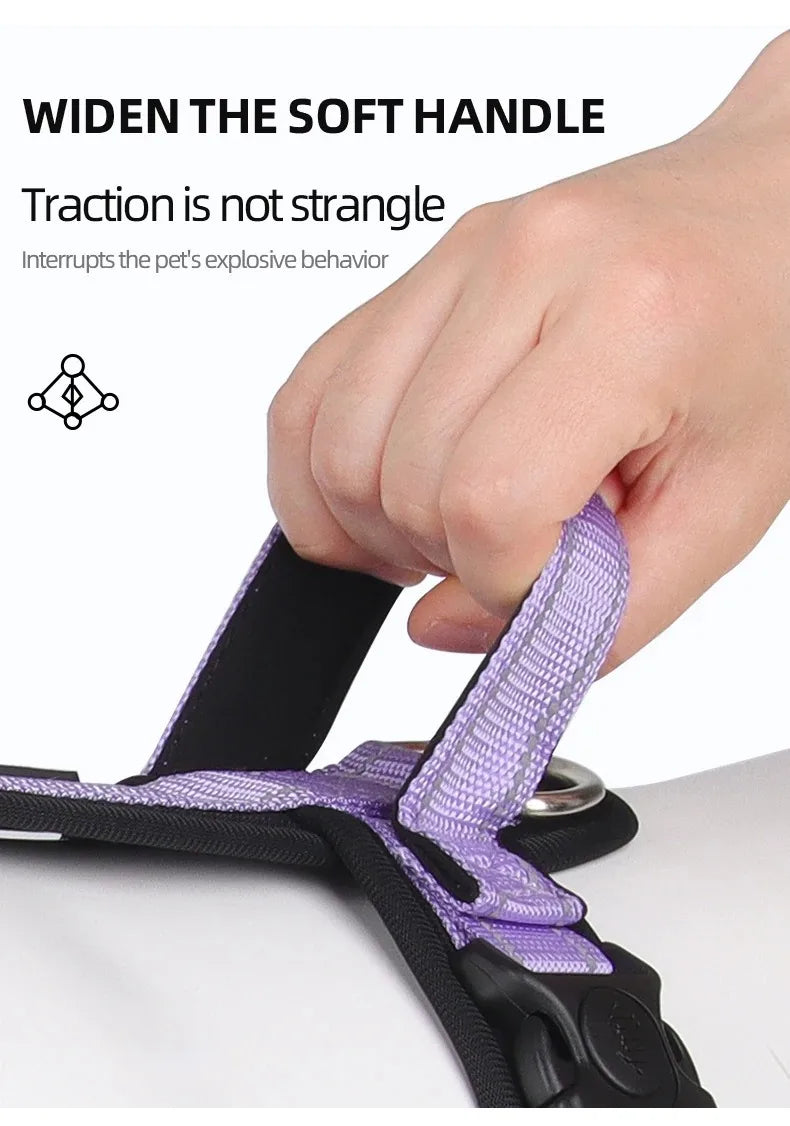 Harnesses and Wears Necklaces Harness With Dog Leash Classic Medium Small Dogs Pet Accessories Chest Puppy Collar Big Accessory