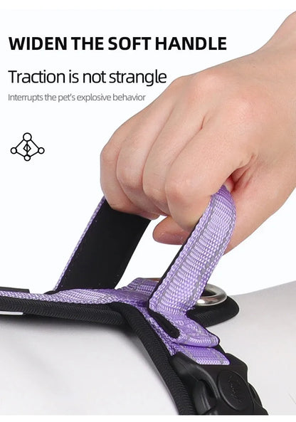 Harnesses and Wears Necklaces Harness With Dog Leash Classic Medium Small Dogs Pet Accessories Chest Puppy Collar Big Accessory