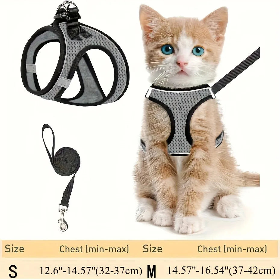 Harness for Cats Pet Products Goods Supplies Accessories Pets Collar, Harness, Leash Things Kitten Breast-band Kittens Cat Home
