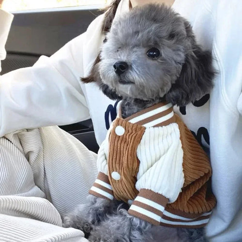 Designer Dog Clothes Supplies French Bulldog Coat For Animal Dogs Dresses Small Accessories Big Pet Large Dress Cute Medium Pets