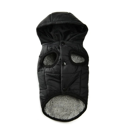 Pet Clothing Sweatshirt Dachshund Goods for Small Dogs Dog Winter Clothes Accessory Pets Accessories Soft Puppy Cute Coat Hoodie