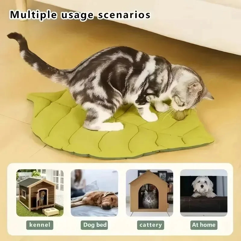 Accessories for Cats Houses and Habitats Bed Dog Goods Things Pet Products Accessory Supplies House Mat Basket Kitten Puppy Beds