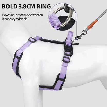 Harnesses and Wears Necklaces Harness With Dog Leash Classic Medium Small Dogs Pet Accessories Chest Puppy Collar Big Accessory