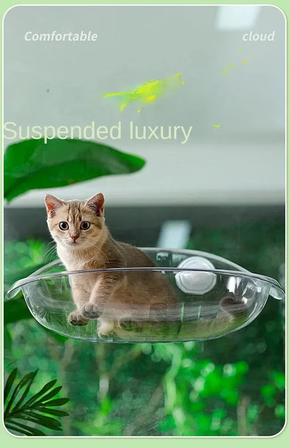 Window Bed for Cats Kitten Accessories Hammock Hanging Balcon Summer Beds Furniture Houses Hammack Pet Hammocks Pets House Cat