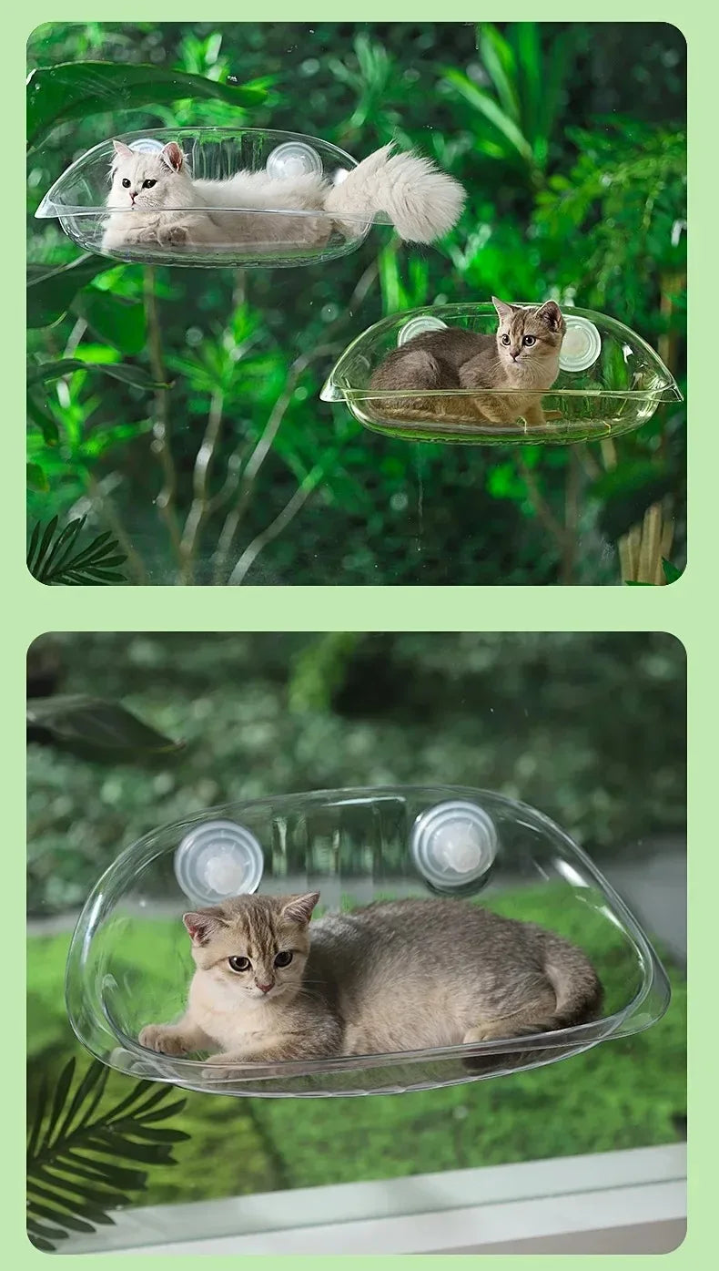 Window Bed for Cats Kitten Accessories Hammock Hanging Balcon Summer Beds Furniture Houses Hammack Pet Hammocks Pets House Cat