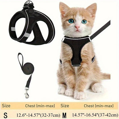 Harness for Cats Pet Products Goods Supplies Accessories Pets Collar, Harness, Leash Things Kitten Breast-band Kittens Cat Home