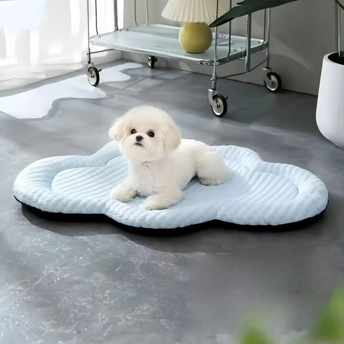 Cooling Mat Dog Accesories Summer Kennel Sofa Baby Bed Pet Beds for Small Dogs Products Cushion Accessories So Pets House Indoor