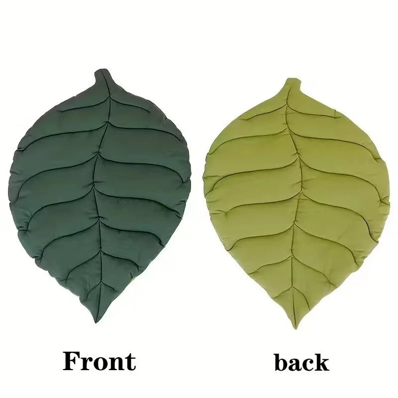 Accessories for Cats Houses and Habitats Bed Dog Goods Things Pet Products Accessory Supplies House Mat Basket Kitten Puppy Beds