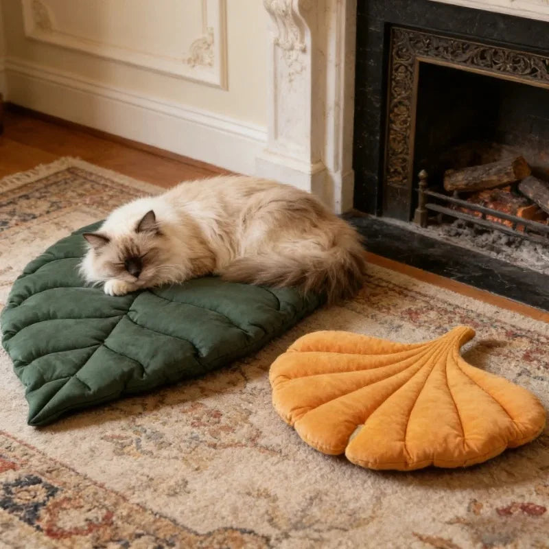 Accessories for Cats Houses and Habitats Bed Dog Goods Things Pet Products Accessory Supplies House Mat Basket Kitten Puppy Beds